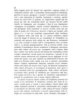 giornale/CFI0359894/1902-1904/unico/00000442