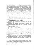 giornale/CFI0359894/1905-1907/unico/00000022