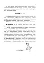 giornale/CFI0359894/1905-1907/unico/00000027