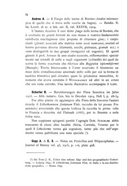 La nuova Notarisia rassegna trimestrale consacrata allo studio delle alghe