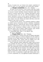 giornale/CFI0359894/1905-1907/unico/00000196