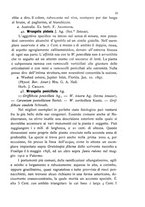 giornale/CFI0359894/1905-1907/unico/00000197