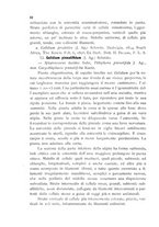 giornale/CFI0359894/1905-1907/unico/00000242