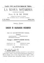 giornale/CFI0359894/1905-1907/unico/00000275