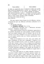 giornale/CFI0359894/1905-1907/unico/00000330