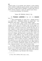 giornale/CFI0359894/1905-1907/unico/00000334