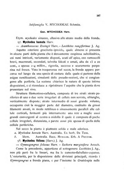 La nuova Notarisia rassegna trimestrale consacrata allo studio delle alghe