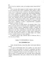 giornale/CFI0359894/1905-1907/unico/00000346