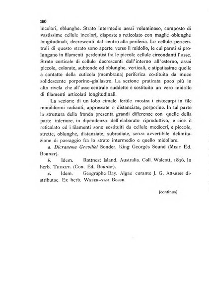 La nuova Notarisia rassegna trimestrale consacrata allo studio delle alghe