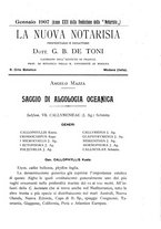 giornale/CFI0359894/1905-1907/unico/00000389