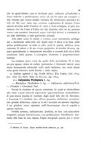 giornale/CFI0359894/1905-1907/unico/00000401