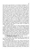giornale/CFI0359894/1905-1907/unico/00000461