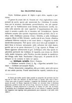 giornale/CFI0359894/1905-1907/unico/00000479