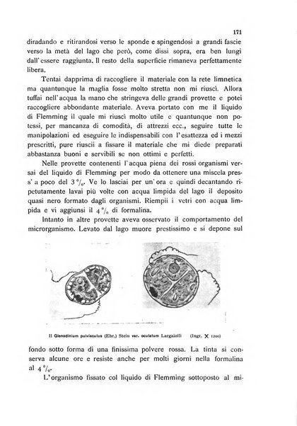 La nuova Notarisia rassegna trimestrale consacrata allo studio delle alghe