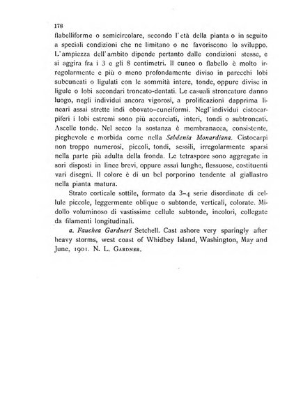 La nuova Notarisia rassegna trimestrale consacrata allo studio delle alghe