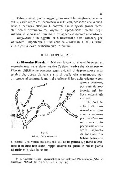 La nuova Notarisia rassegna trimestrale consacrata allo studio delle alghe