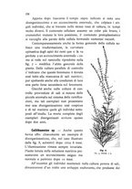 giornale/CFI0359894/1908-1910/unico/00000198