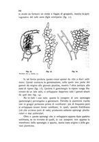 giornale/CFI0359894/1908-1910/unico/00000202