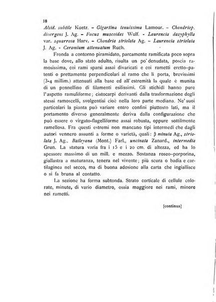 La nuova Notarisia rassegna trimestrale consacrata allo studio delle alghe