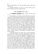 giornale/CFI0359894/1908-1910/unico/00000312