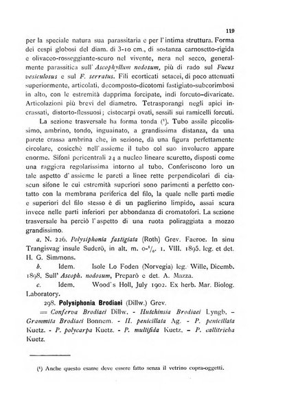 La nuova Notarisia rassegna trimestrale consacrata allo studio delle alghe