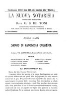 giornale/CFI0359894/1908-1910/unico/00000413