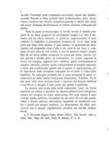 La nuova Notarisia rassegna trimestrale consacrata allo studio delle alghe