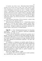 giornale/CFI0359894/1908-1910/unico/00000635