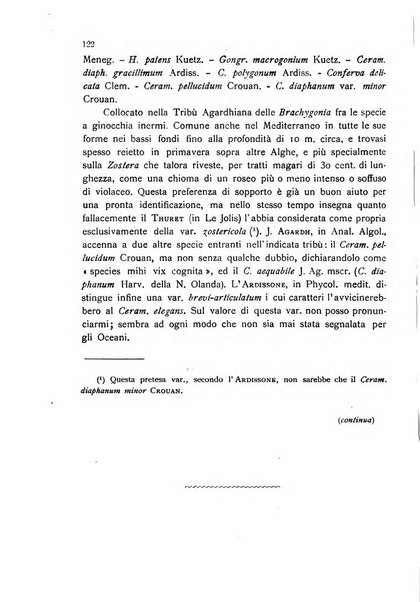 La nuova Notarisia rassegna trimestrale consacrata allo studio delle alghe