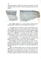 giornale/CFI0359894/1911-1913/unico/00000368