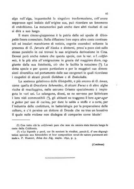 La nuova Notarisia rassegna trimestrale consacrata allo studio delle alghe