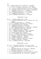 giornale/CFI0359894/1914-1916/unico/00000134