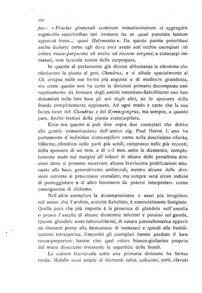 La nuova Notarisia rassegna trimestrale consacrata allo studio delle alghe