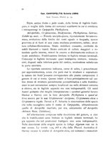 giornale/CFI0359894/1914-1916/unico/00000268