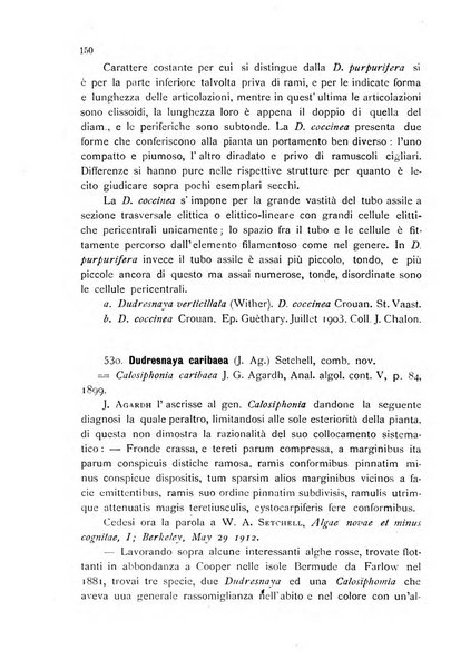 La nuova Notarisia rassegna trimestrale consacrata allo studio delle alghe