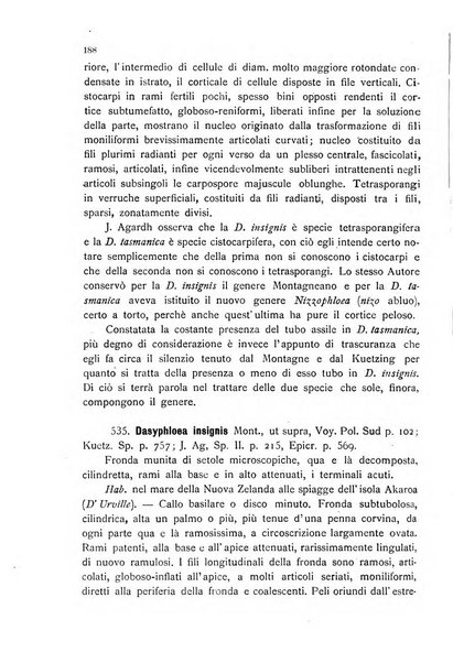 La nuova Notarisia rassegna trimestrale consacrata allo studio delle alghe