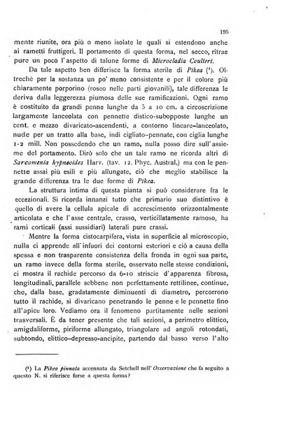 La nuova Notarisia rassegna trimestrale consacrata allo studio delle alghe