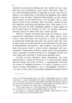 giornale/CFI0359894/1914-1916/unico/00000552