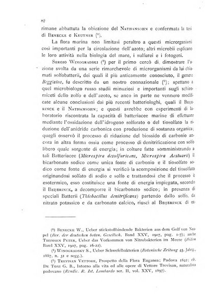 La nuova Notarisia rassegna trimestrale consacrata allo studio delle alghe