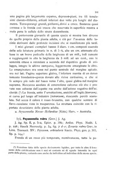 La nuova Notarisia rassegna trimestrale consacrata allo studio delle alghe