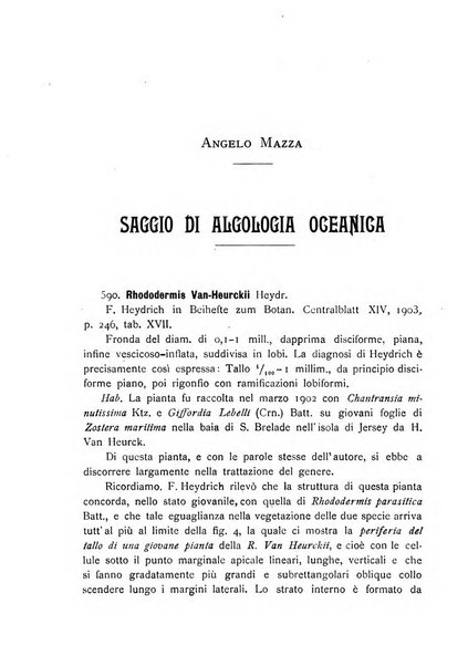 La nuova Notarisia rassegna trimestrale consacrata allo studio delle alghe