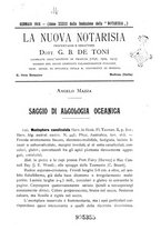 giornale/CFI0359894/1918/unico/00000007