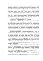 giornale/CFI0359894/1918/unico/00000008