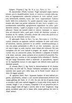 giornale/CFI0359894/1921-1922/unico/00000051