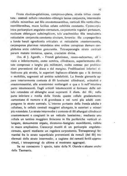 La nuova Notarisia rassegna trimestrale consacrata allo studio delle alghe