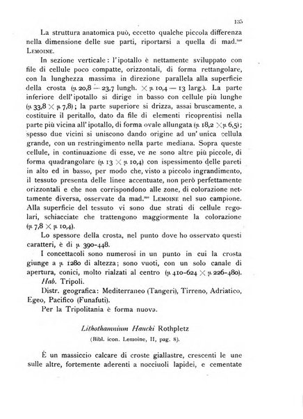 La nuova Notarisia rassegna trimestrale consacrata allo studio delle alghe