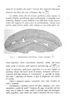 giornale/CFI0359894/1921-1922/unico/00000149