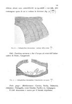 giornale/CFI0359894/1921-1922/unico/00000155