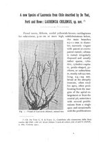 giornale/CFI0359894/1921-1922/unico/00000160
