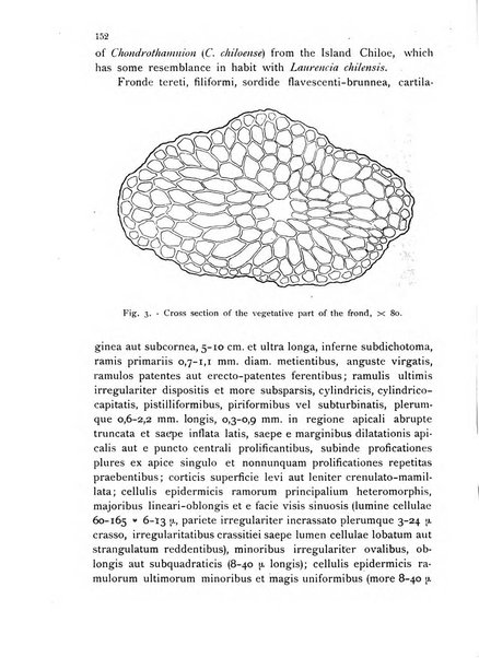 La nuova Notarisia rassegna trimestrale consacrata allo studio delle alghe